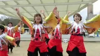 Sakura Matsuri Dance #7, Kyoto