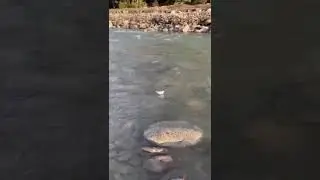 Paper Boat race in Baspa River, Chitkul