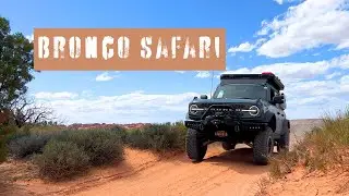 Простые внедорожные маршруты в Моаве | Bronco Safari 2023