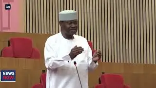 Senate refers Natasha Akpoti-Uduaghan to disciplinary committee over seating arrangement dispute