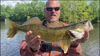 Action packed fishing, Multi-Species | Delaware River