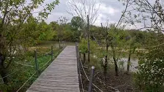 Texas Trailhead Scenery - Hiking & Exploring Trails Along Ponds & River