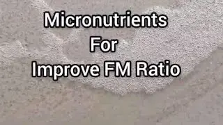 Bioremediation for Paper Mill Effluent Treatment Plant