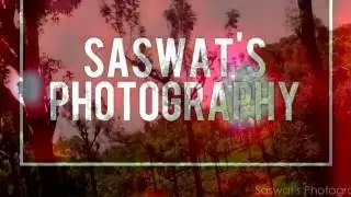 Tea Garden in Ooty By Saswat's Photography