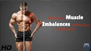 Muscle Imbalance? Here&rsquo;s What&rsquo;s REALLY Causing It!