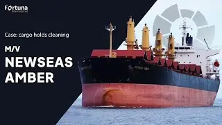 m/v NEWSEAS AMBER | Case: cargo holds cleaning