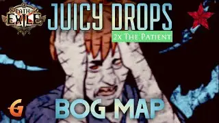 Dropping 2X The Patient In Bog Map - Occultist Explode - POE X Path Of Exile
