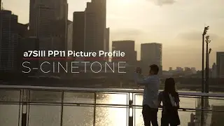 Sony a7SIII S-Cinetone Cinematic Vlog (Picture Profile PP 11)