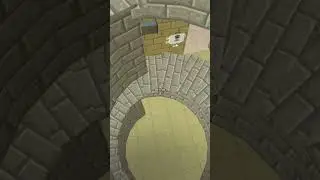 chicken gun for
