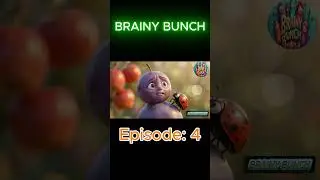 Nature&rsquo;s Quiet Secret #A Lesson from the Wise Apple Tree #BRAINY#BUNCH#The Harmony of Nature