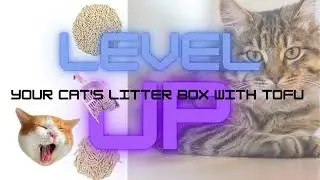 Tofu Cat Litter Review: Alternatives| Eco-Friendly, Odor Control, Michu tofu Cat Litter