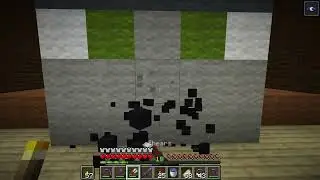 Secret Block hidden inside the Wool Blocks in Woodland Mansion - Minecraft 1.21