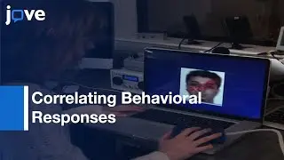 fMRI Signals-Human Prefrontal Cortex: Examining Cognitive Processes l Protocol Preview