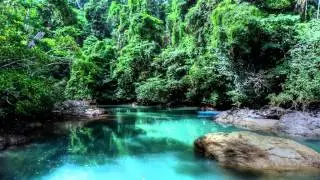 Henry Marshall - Sarve Jananam (for Happiness)
