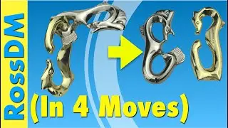 SEAHORSE PUZZLE SOLUTION