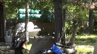 Chipmunk Chase!