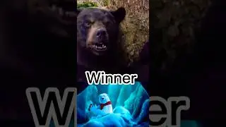 Cocaine bear vs Coca Cola bear