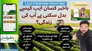 Bakhabar Kissan App Kaise Use Karein? | Waqas Daduana Channel @Bakhabarkissan