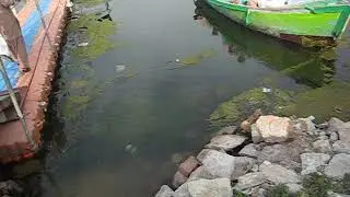 Uchali lake 3
