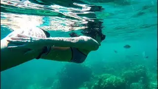 TOUR ÀS ILHAS PHI PHI | TAILÂNDIA ep10