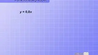 Funktionsbegreppet