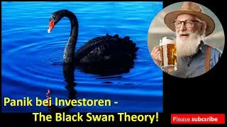 Der schwarze Schwan - kann man sein ETF und Aktiendepot irgendwie darauf vorbereiten?