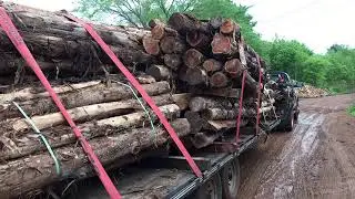 Cedar Fence Posts for Sale Alto, Texas