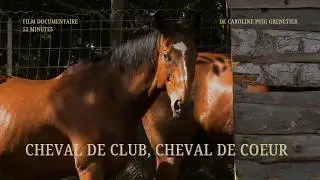 CHEVAL DE CLUB, CHEVAL DE COEUR documentaire en entier (2021)