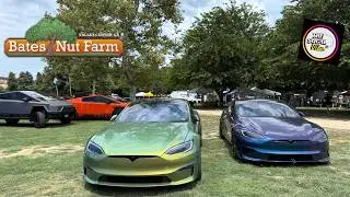 SoCal EV Event at Bates Nut Farm! HUGE Electric Car Meetup (Teslas, Lucid, Mach-E & MORE!)