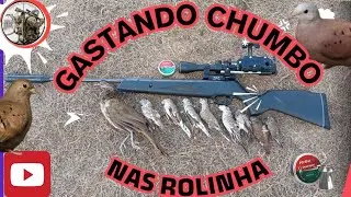#boa Ca&ccedil;ada com #Black hawk sempre tem resultado 💨💥💢💯