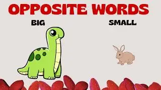 Opposite Words for Kids | Learn Antonyms with Fun Examples