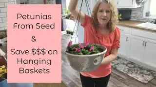 Petunia From Seed and DIY Hanging Baskets