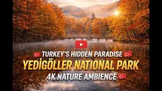 Hidden Paradise of Turkey 🇹🇷 | Yedig&ouml;ller National Park in 4K Nature Ambience