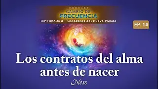 Nada en tu vida es casualidad, todo fue elegido por tu alma - Vanessa Serrano