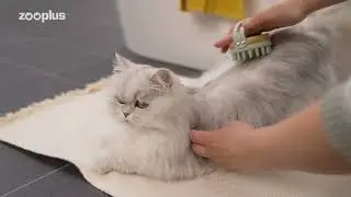 Brosse de massage kooa pour chat