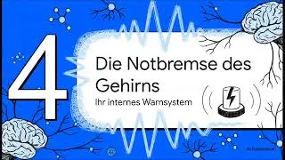 Du bist nicht faul: Warum dein Gehirn im Leerlauf verbrennt