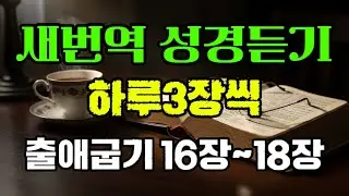 ✝️새번역성경듣기 하루3장씩 출애굽기16장~18장 10번반복재생 조용히 틀어놓으세요. #새번역성경듣기 #출애굽기 #성경듣기 #하루3장 #말씀듣기 #10번반복 #조용히틀어놓으세요