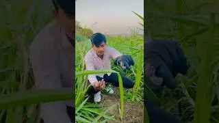 Aggressive Snake🐍 #snake_rescue #snakerescueteam #funny #snakerepellent #snakepoison #comedy #vlog