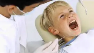 Fred Thompson DDS