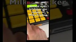 MilkyTracker + MPC1000  #akai #mpc1000 #sampler #2024 #amiga #boombap #beats #1200 #500 #midi