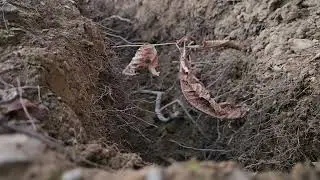 Channel update and digging a waterline