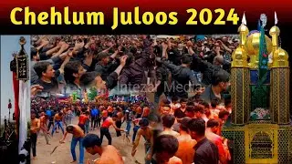 #Arbaeen Live juloos Shia Matam #Malegaon Nashik #Chehlum jaloos 1446 Noha 2024 Azadari