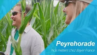 🟢 Métiers -  Agronome, Technicien et Responsable Production