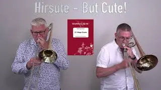 Hirsute - But Cute from 27 Mega Duets - Mark Nightingale & Ian Moffat