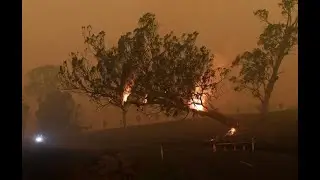 Incendies en Australie : chronique d'un d&eacute;sastre annonc&eacute;