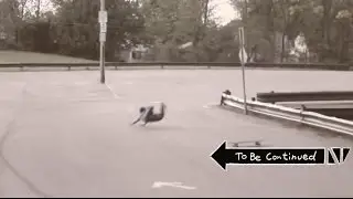 To Be Continued... (Marty McFly Williams)