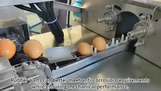Single Row Egg Washer Dryer Machine