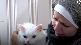 Refugee Cat Reunites With Iraqi Family