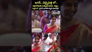 YS Jagan And YS Barathi Attends Marriage At Chennai : పెళ్లికొడుకు పెళ్ళికూతురు..వైఎస్ భారతీ హ్యాపీ