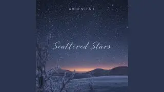 Scattered Stars